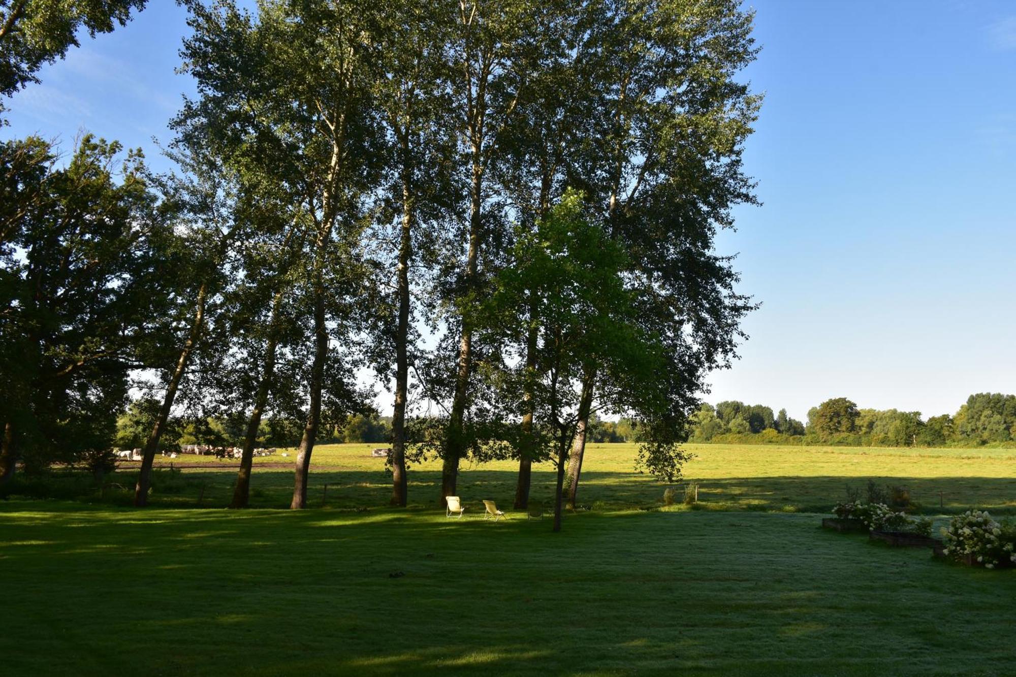 Domaine De L'Ermitage Bed & Breakfast Berry-Bouy Exterior foto