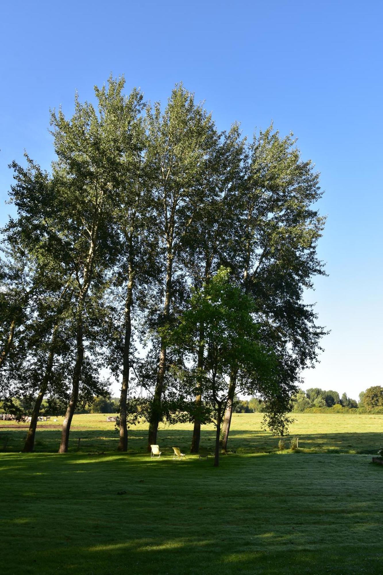Domaine De L'Ermitage Bed & Breakfast Berry-Bouy Exterior foto