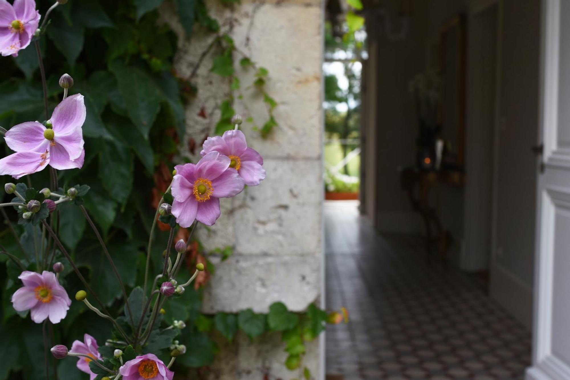Domaine De L'Ermitage Bed & Breakfast Berry-Bouy Exterior foto